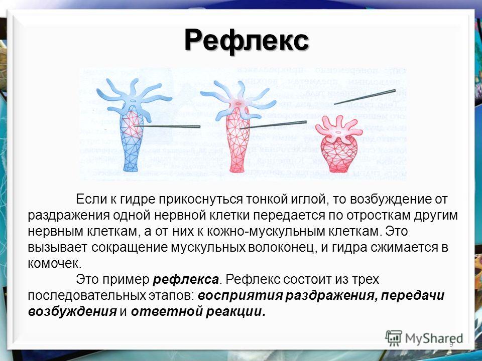 Кракен онион ссылка на тор